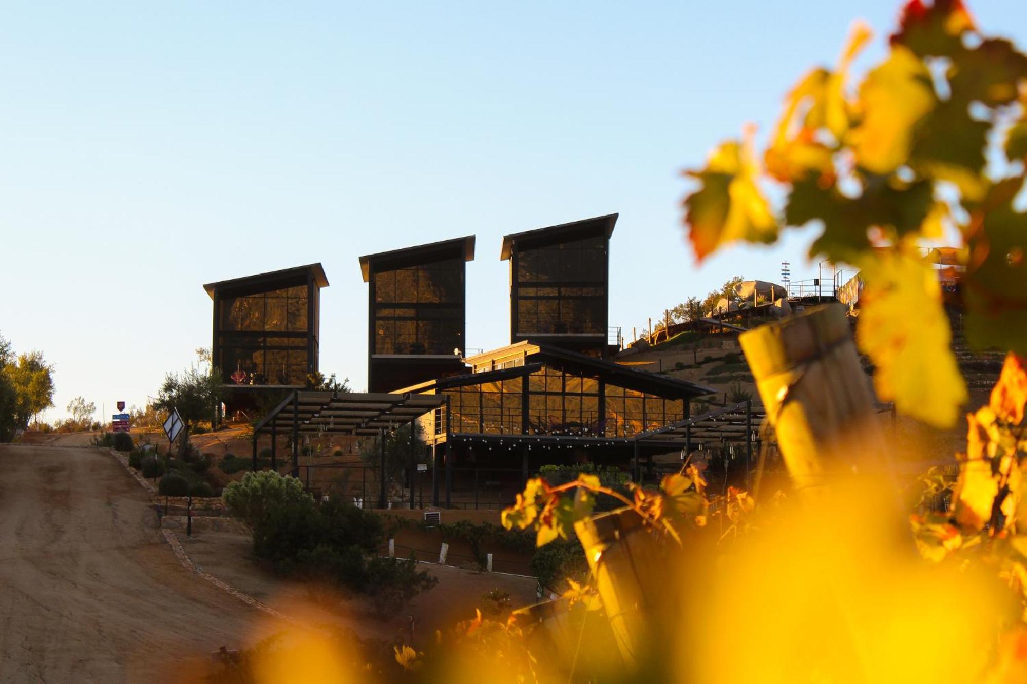 Origen75 Loft - Villas - Skypool - Vinedo, Valle De Guadalupe Valle de Guadalupe Exterior foto